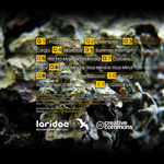 Photophob - Memplex - Cover back
