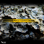 Photophob - Memplex - Cover front
